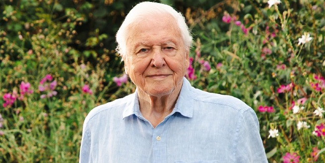 2026. május 8-án 100 éves Sir David Attenborough, angol természettudós, dokumentumfilmes, az ismeretterjesztő televízióműsorok egyik úttörője