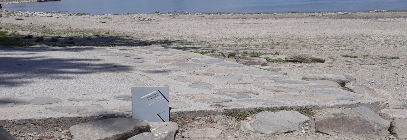 Statisztikus a harcmezőn